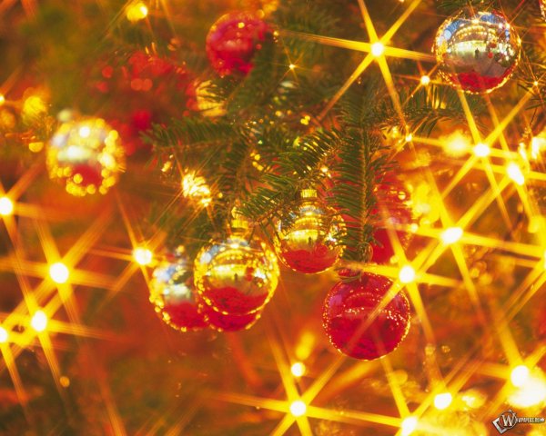 Новогодняя елка в Огнях