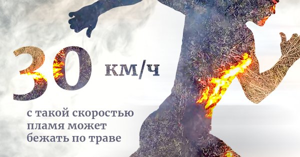 Кампания Останови огонь