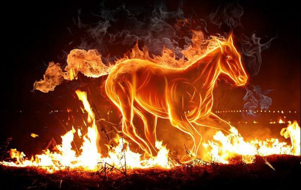 Лошадь в огне