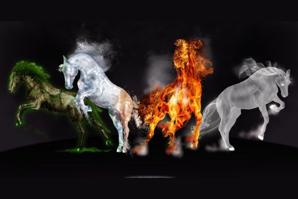 Животные стихий