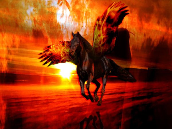Пегас в огне