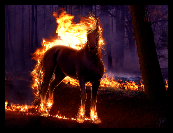 Конь огонь