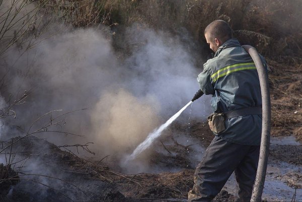 МЧС пожар на торфянике