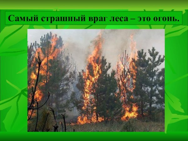 Пожар враг леса