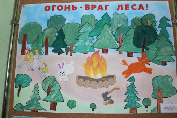 Сбережем леса от пожаров