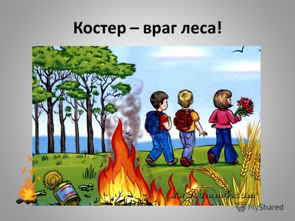 Не оставляйте костер в лесу
