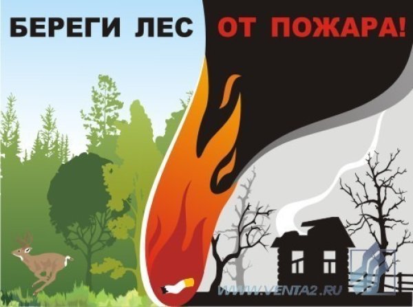 Плакат берегите лес от пожара