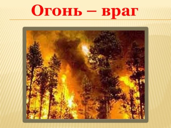 Огонь мой враг
