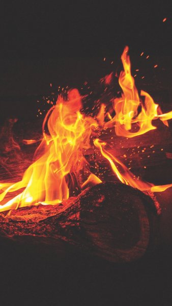 Огненный Сокол Рарог