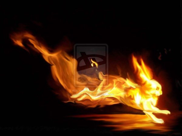 Горящий кролик