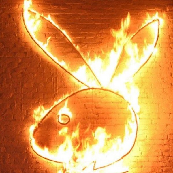 Заяц в огне