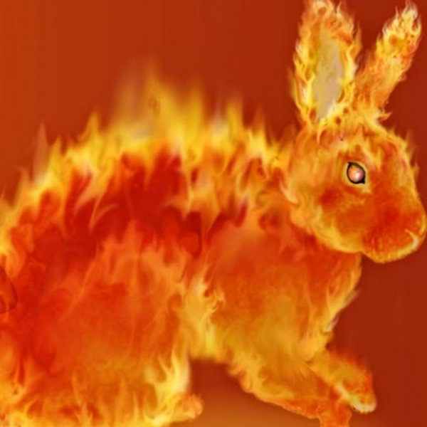 Год огненного кролика