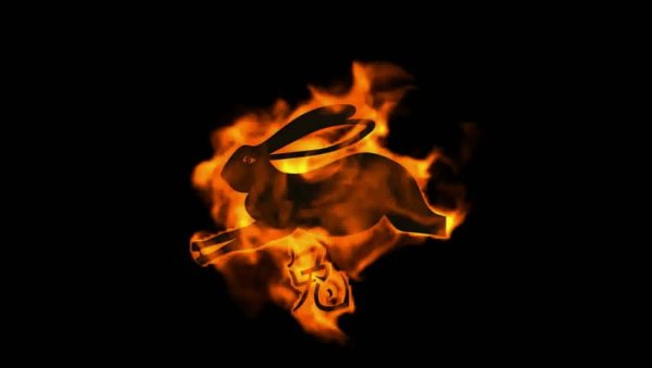 Огненный кролик 1987