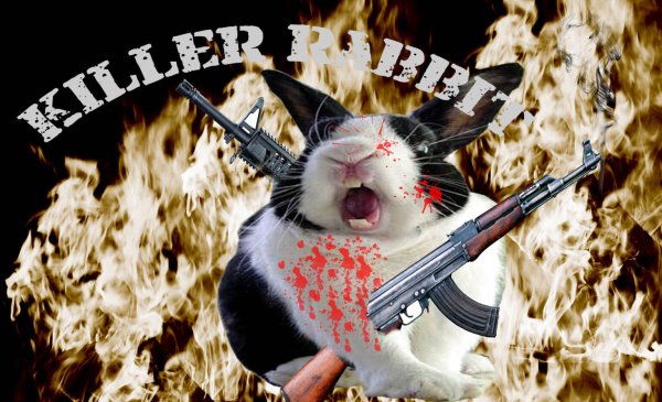 Кролик с автоматом