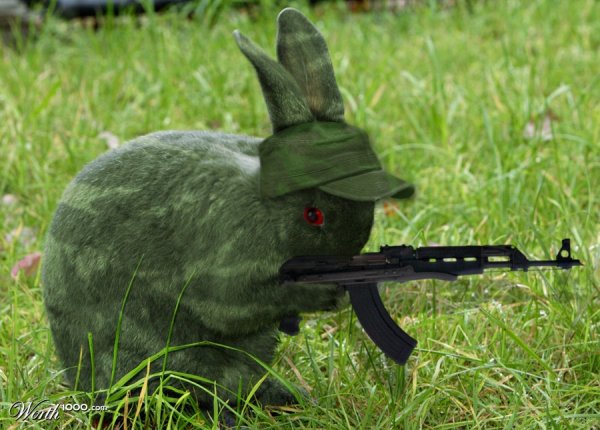 Кролик с оружием