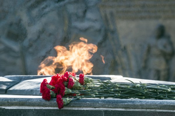 Вечный огонь с гвоздиками