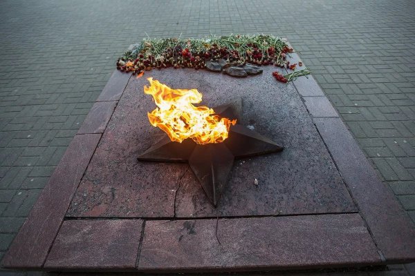 Богомолов вечный огонь