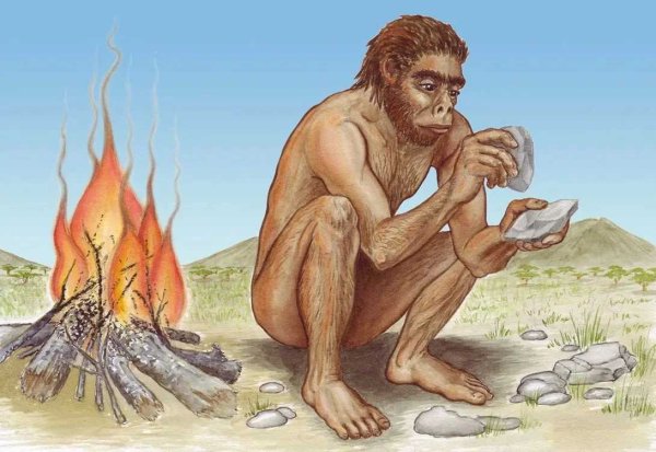 Хомо хабилис Палеоантропы