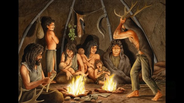 Семья хомо сапиенс