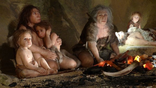 Кроманьонцы и неандертальцы и денисовцы