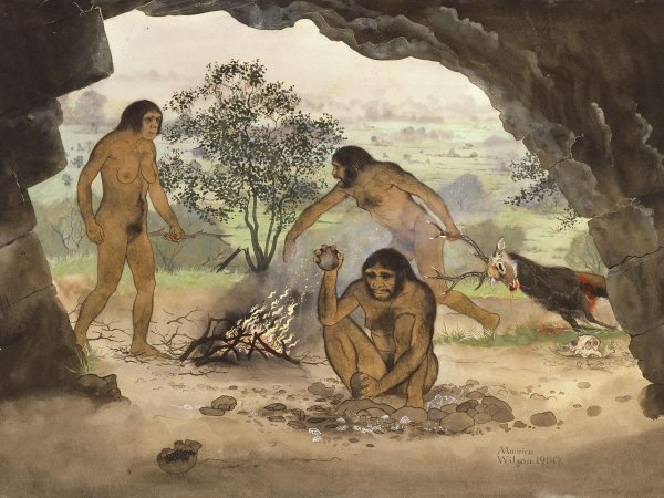 Архантропы (homo Erectus)