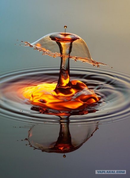 Капля падает в воду