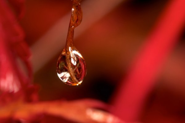 Падение капельки воды