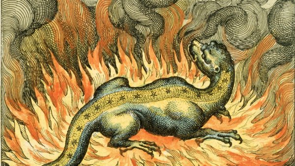 Ундины Гномы Сильфы Саламандры