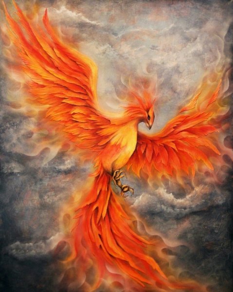 Сокол Феникс Рарог