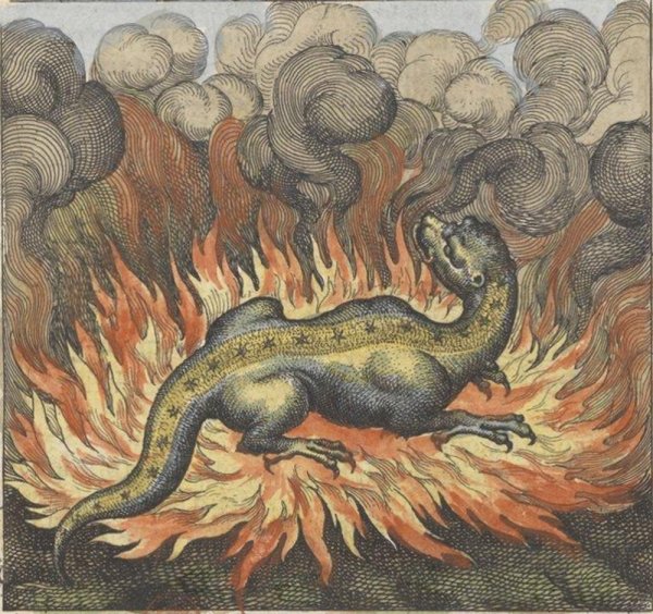 Саламандра мифология