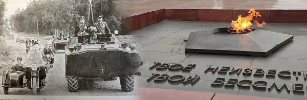 Мемориальный комплекс могила неизвестного солдата Петрозаводск