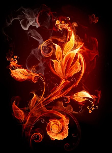 Цветок в огне