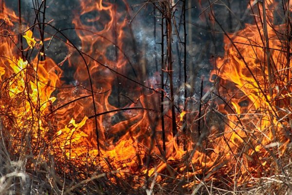 Донбасс в огне