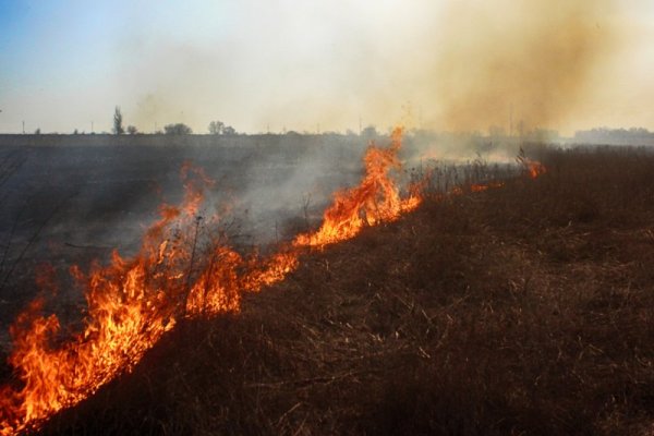 Огонь в степи