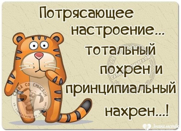Потрясающее настроение Тотальный