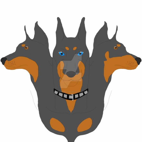 Цербер собака Доберман