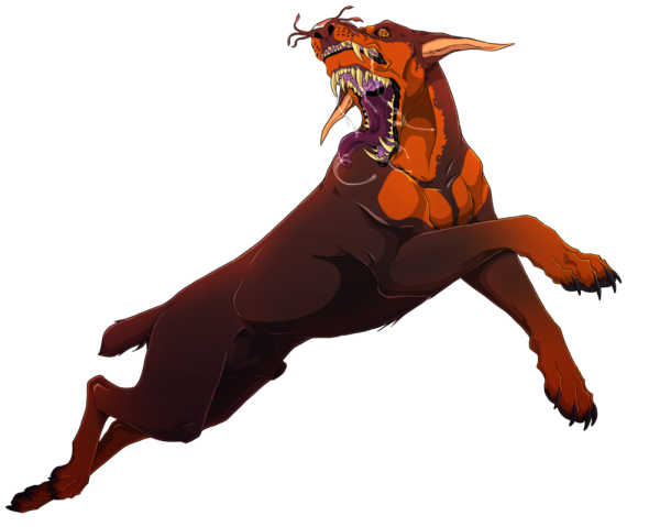 Доберман Cerberus