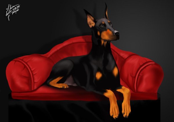 Лева Доберман аниме