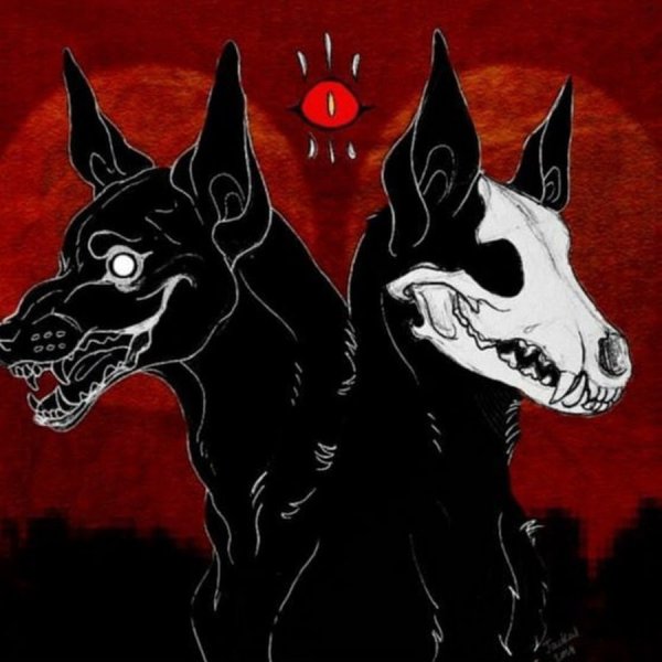 Череп добермана