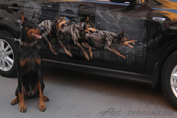 Доберман х5 BMW