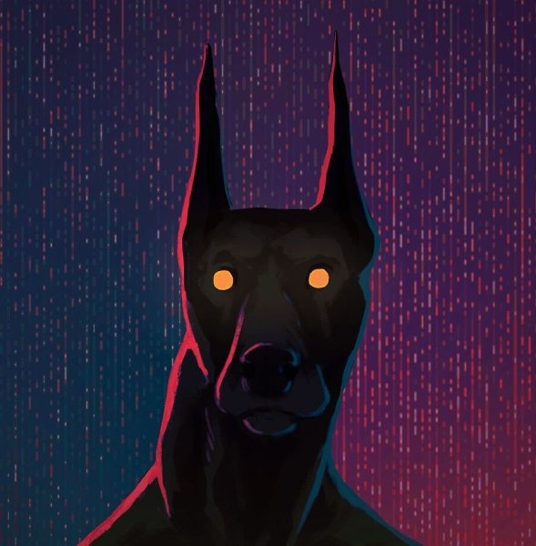 Собака Доберман