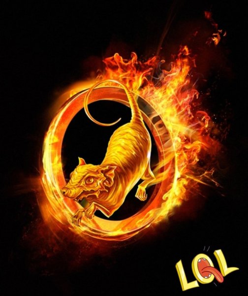 Крыса в огне