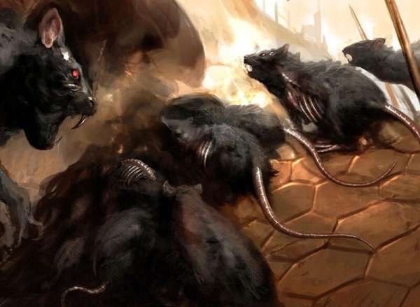 Крысиная стая МТГ