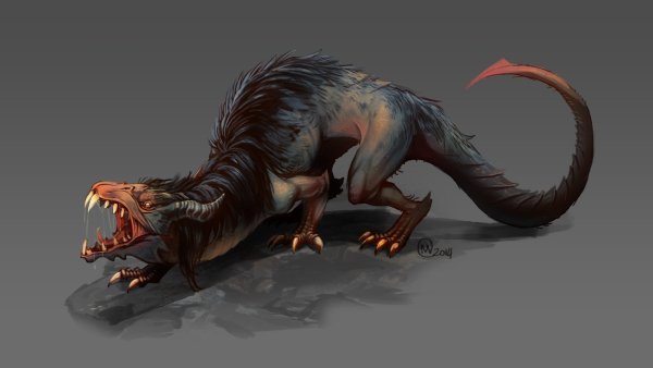 Накер (Draco Troglodytes)