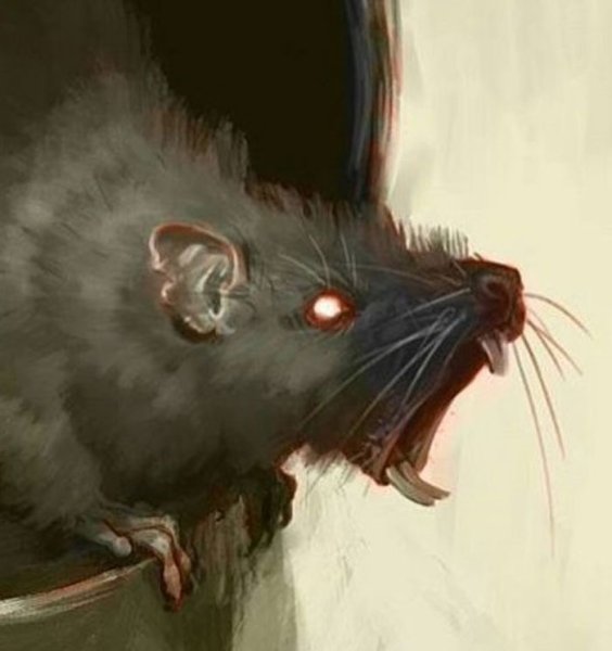 Крысобой крысиный волк