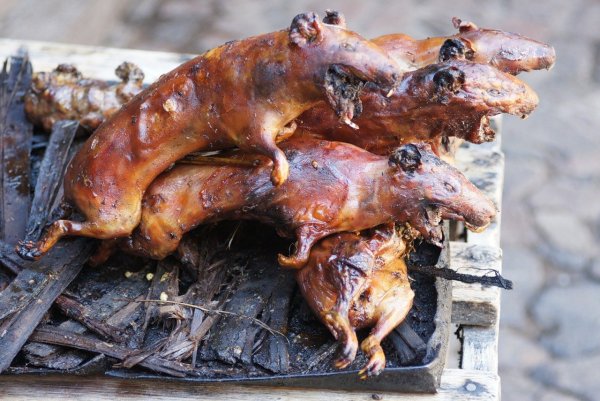 Жареная морская Свинка