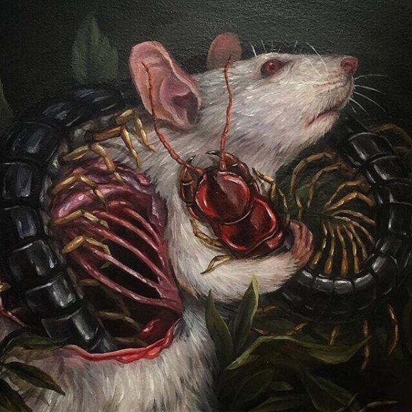 Крыски арты