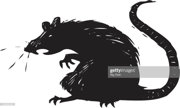 Злая крыса вектор