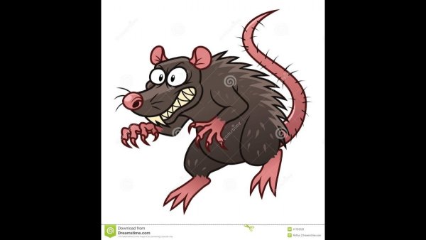 Страшная крыса из мультика
