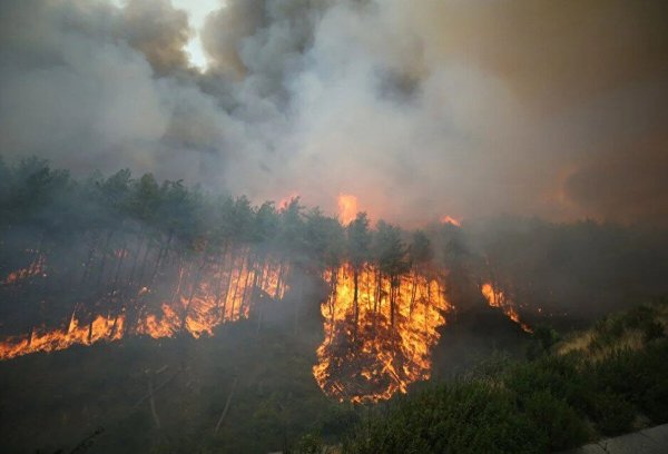 Лесные пожары в Турции 2021